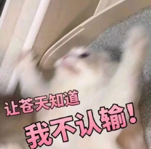 0d874ac993a4352ebbeabfe564fe04db.png