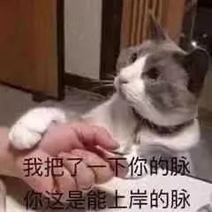 94ec1a404f5f05069e3f32c6fd23a06a.jpg